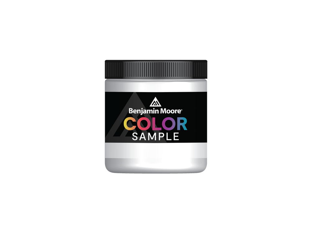 2001X Color Sample - 1/2 Pint