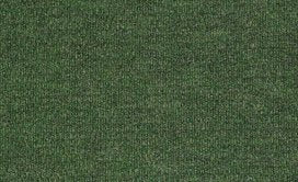 In Stock Carpet Outdoor Bedecked Simply Green