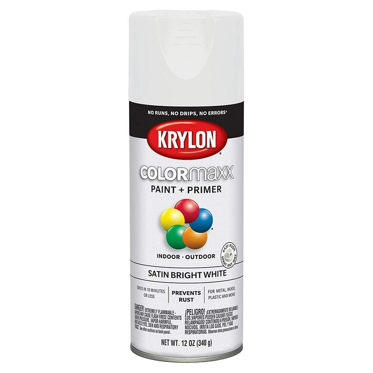 Spray Paint Satin Bright White - 12oz