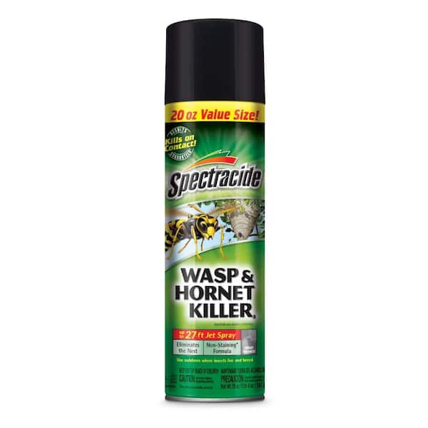 Wasp & Hornet Spray - 20oz