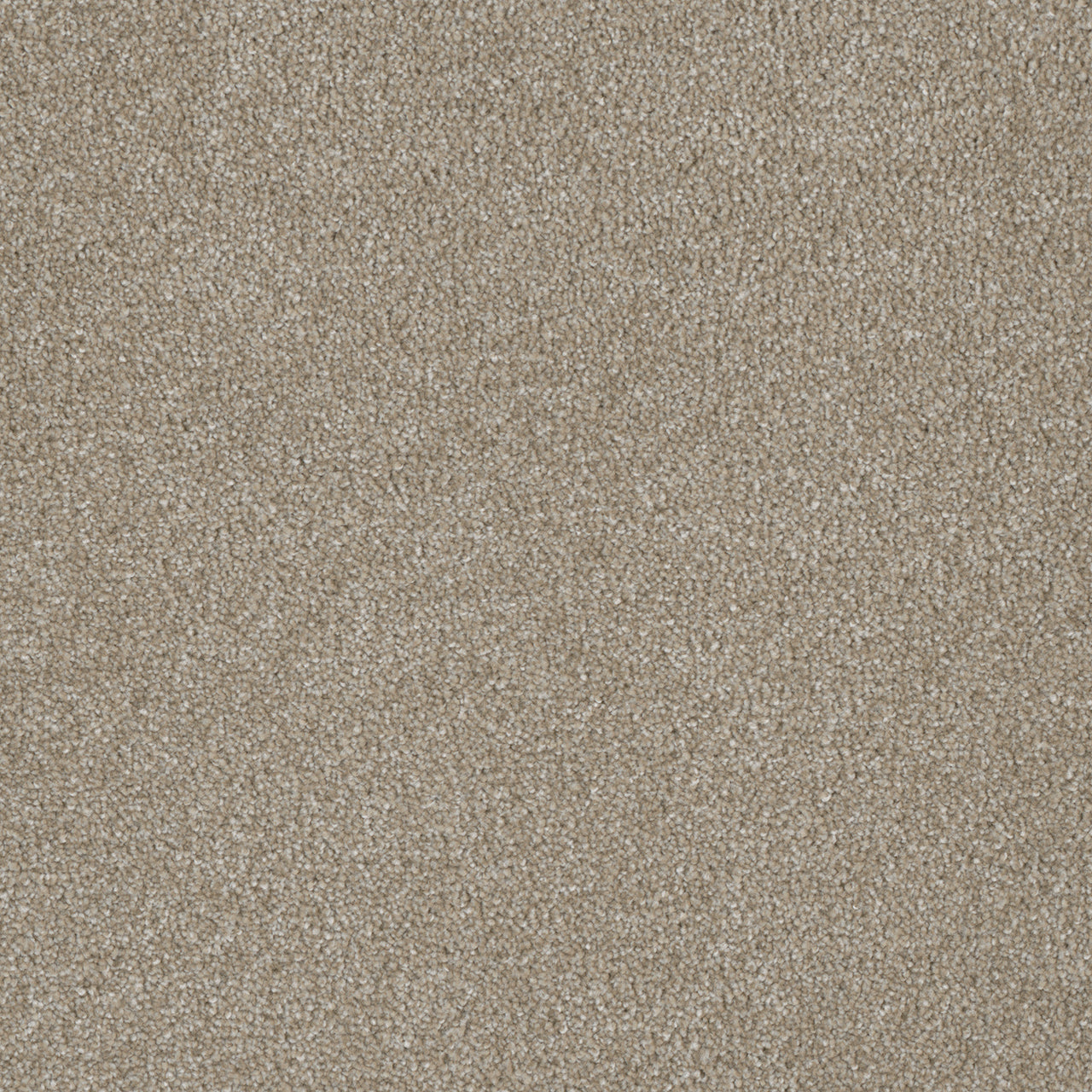 In Stock DreamWeaver - Luxor I - 12': SY