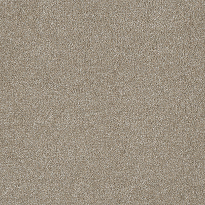 In Stock DreamWeaver - Luxor I - 12': SY