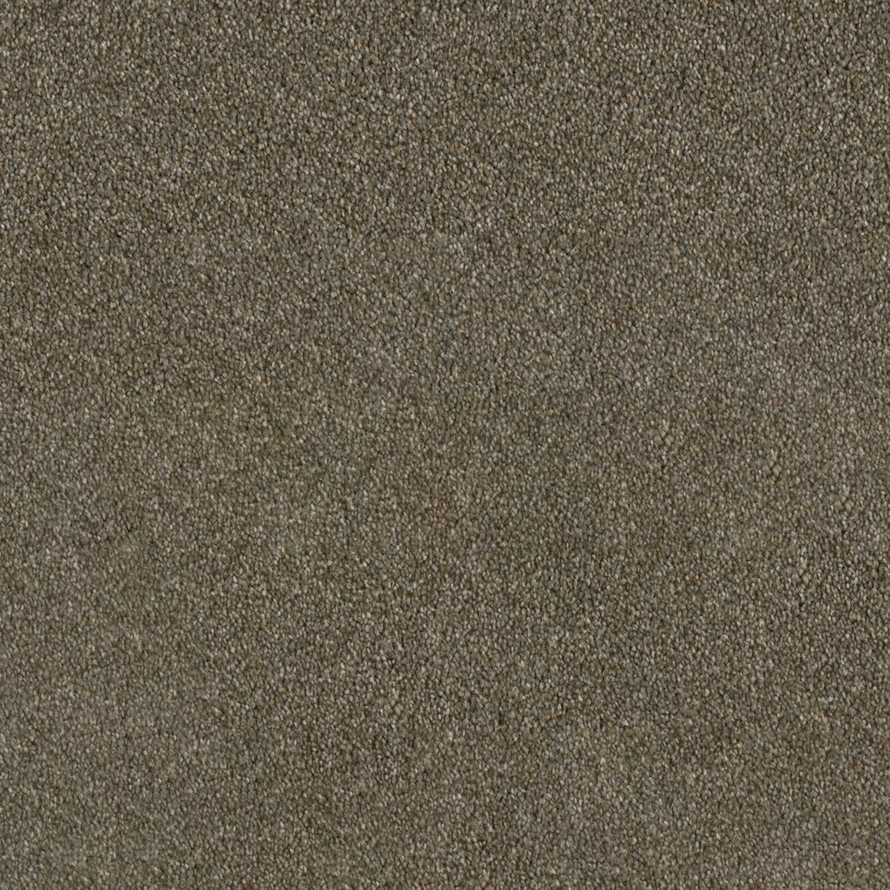 In Stock DreamWeaver - Luxor I - 12': SY