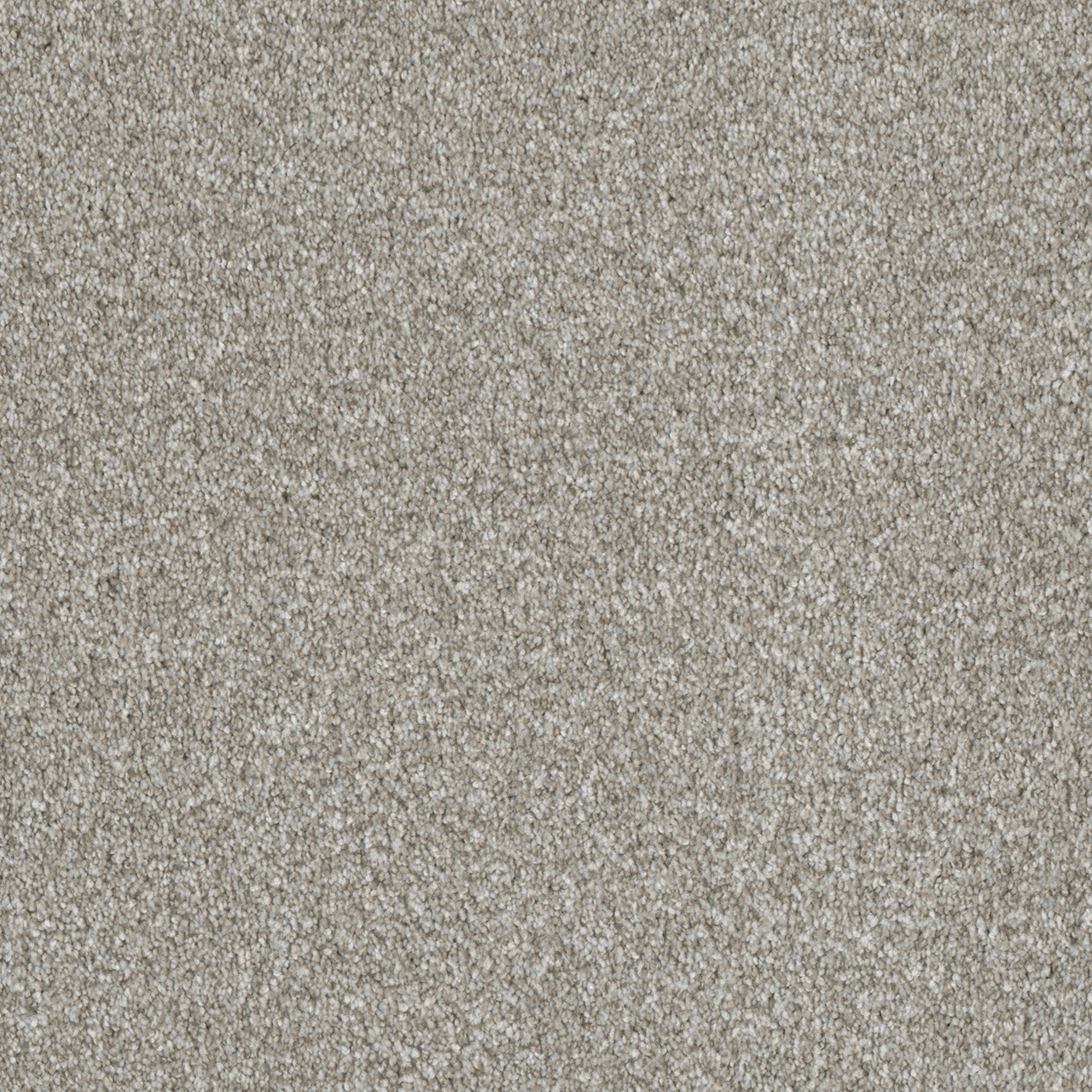 In Stock DreamWeaver - Luxor I - 12': SY
