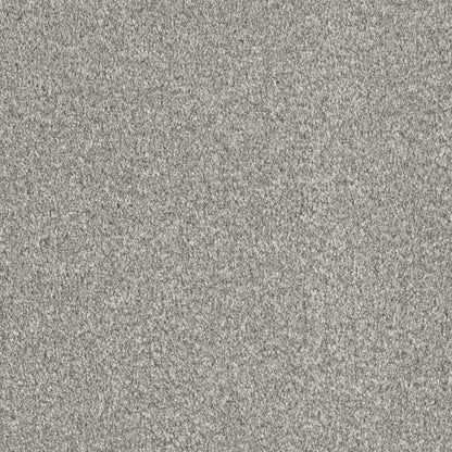 In Stock DreamWeaver - Luxor I - 12': SY