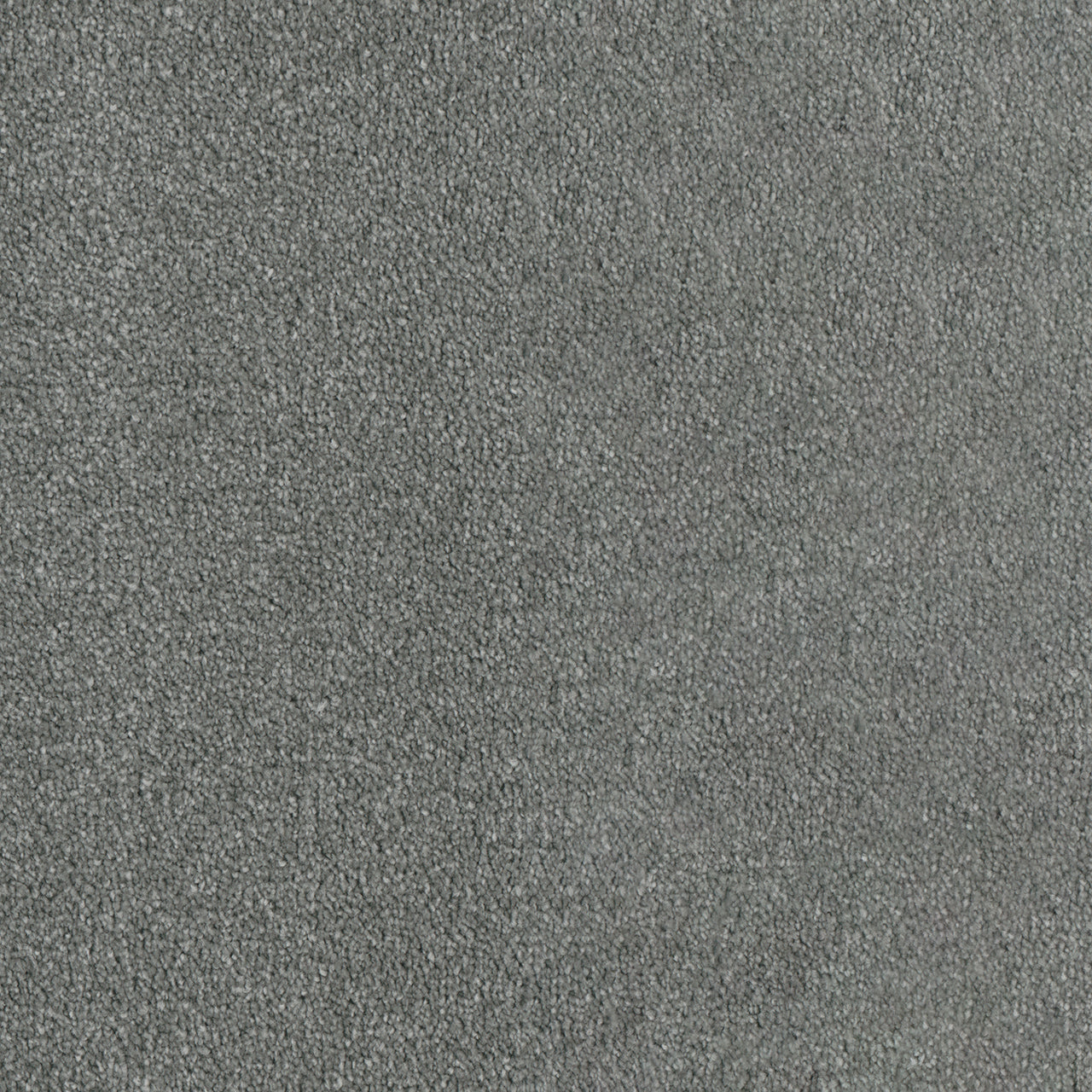 In Stock DreamWeaver - Luxor I - 12': SY